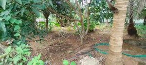 Plot Area in  Plot at Villadam – for Sale