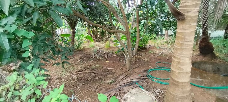 undefined, villadam  3051 Sq.Ft. Plot In Villadam Thrissur 9816538