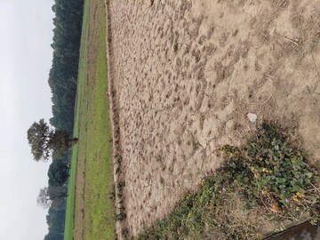  Plot – Exterior View View at Raipur - for Sale