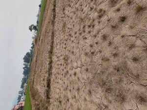  Plot – Exterior View View at Raipur - for Sale