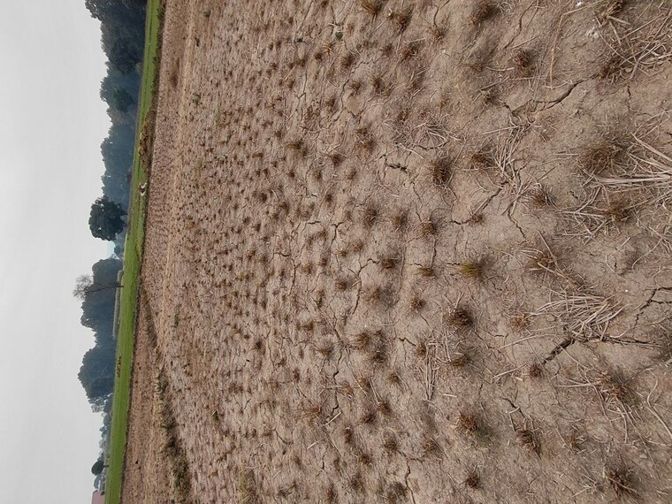 Exterior View, raipur  125 Sq.Yd. Plot In Raipur Dehradun 9816609