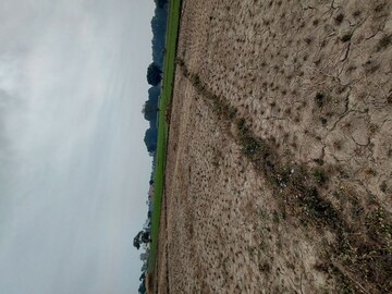  Plot – Exterior View View at Raipur - for Sale