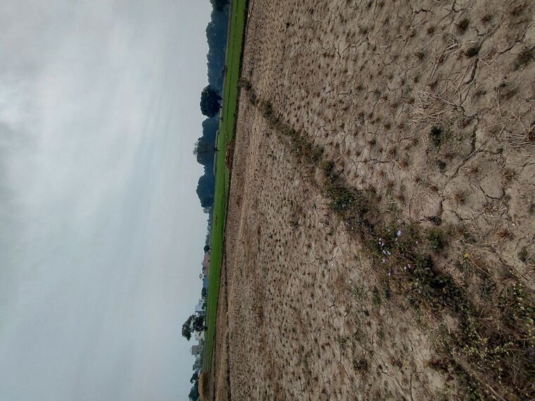 Exterior View, raipur  125 Sq.Yd. Plot In Raipur Dehradun 9816609