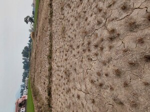  Plot – Exterior View View at Raipur - for Sale