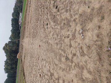 Plot Area in  Plot at Raipur – for Sale