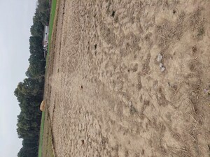 Plot Area in  Plot at Raipur – for Sale