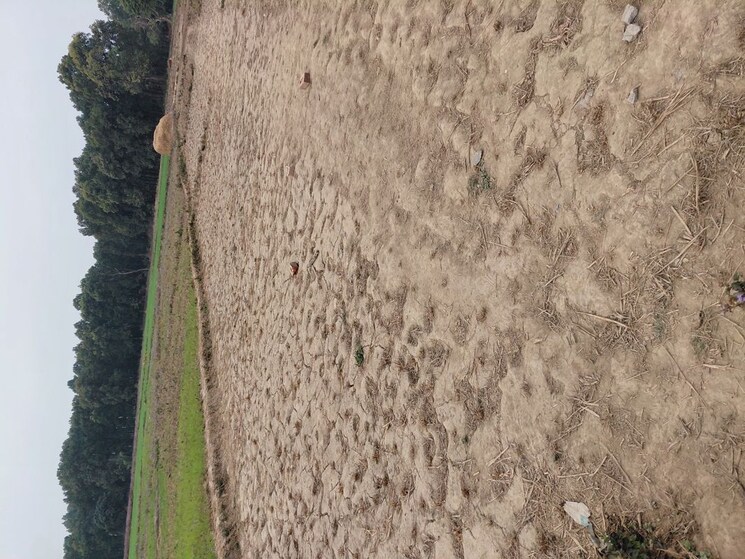 Exterior View, raipur  125 Sq.Yd. Plot In Raipur Dehradun 9816609