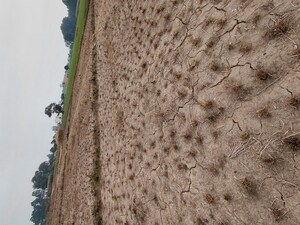  Plot – Exterior View View at Raipur - for Sale