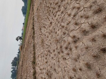  Plot – Exterior View View at Raipur - for Sale