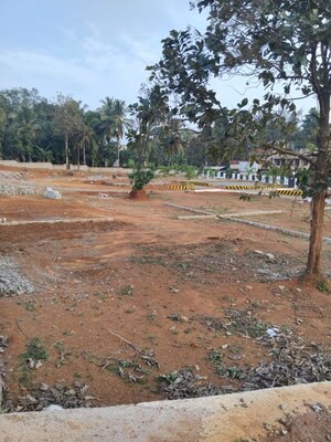Plot Area in  Plot at Mannur – for Sale