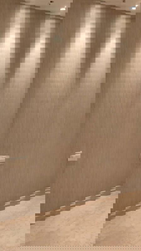 2 BHK Apartment For Rent in Castle Rock