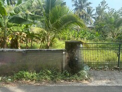 Plot For Sale in Cheroor