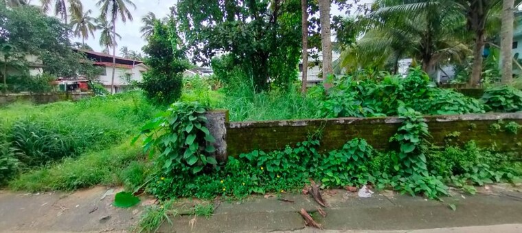 Garden, east fort  4356 Sq.Ft. Plot In East Fort Thrissur 9816936