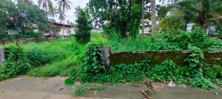 Garden, east fort  4356 Sq.Ft. Plot In East Fort Thrissur 9816936