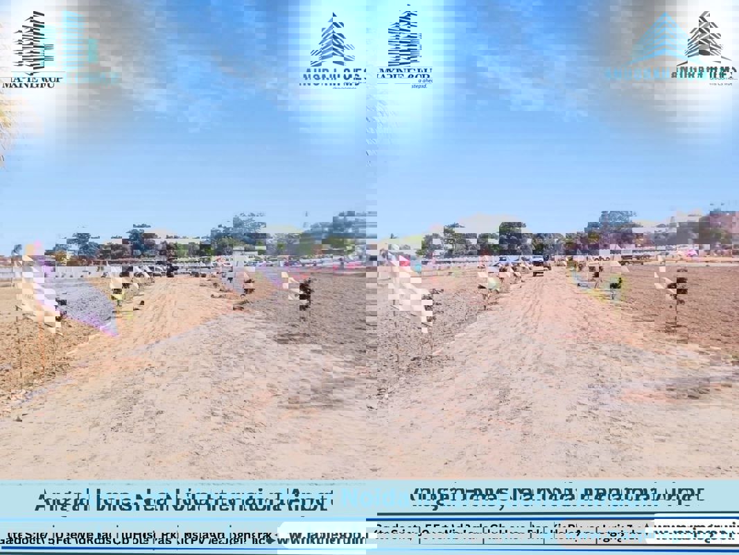 Plot Area in  Plot at Jattari – for Sale