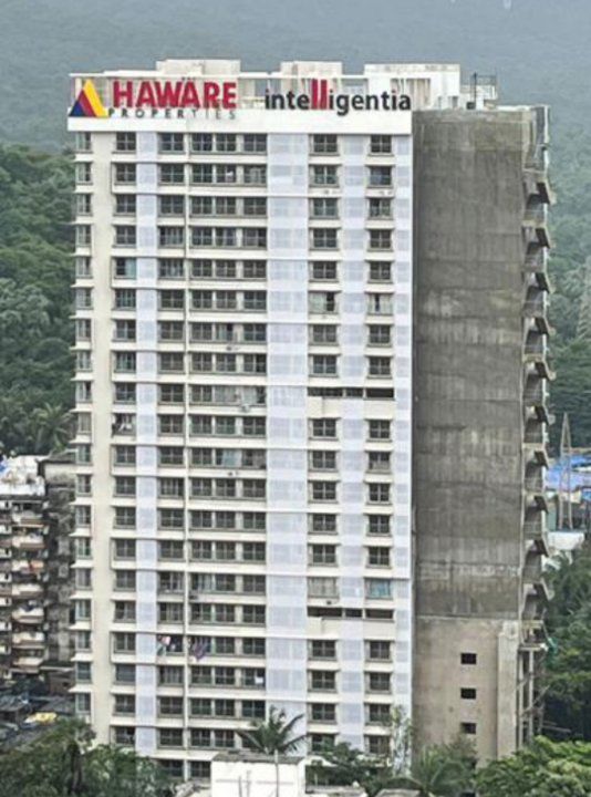 1 BHK Apartment For Rent in Haware Intelligentia Axis