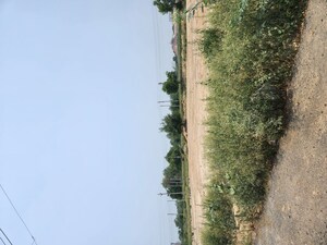  Plot For Sale in Sector 11