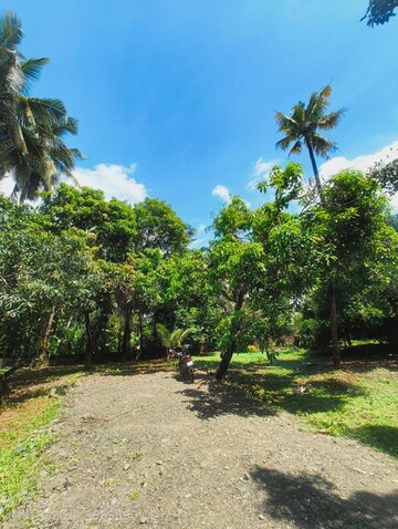  Plot – Exterior View View at Ollukkara - for Sale