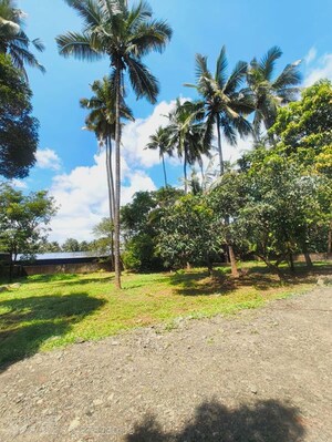  Plot – Exterior View View at Ollukkara - for Sale