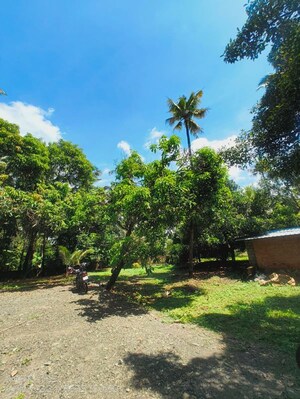  Plot – Exterior View View at Ollukkara - for Sale