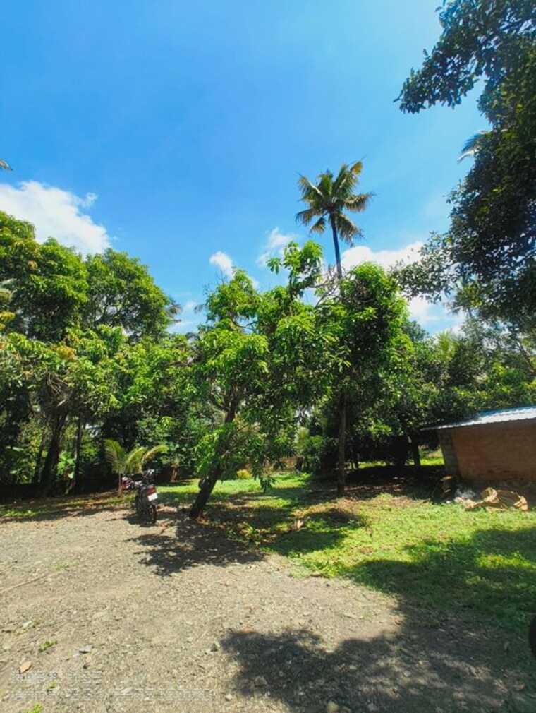 Exterior View, ollukkara  4356 Sq.Ft. Plot In Ollukkara Thrissur 9381761