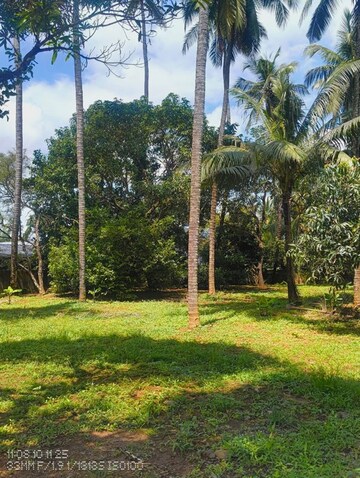  Plot – Exterior View View at Ollukkara - for Sale