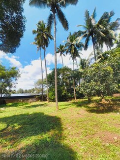 Plot For Sale in Ollukkara