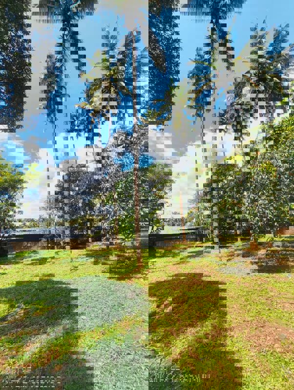 Plot For Sale in Ollukkara