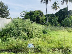  Land – Exterior View View at Mysore Road - for Sale