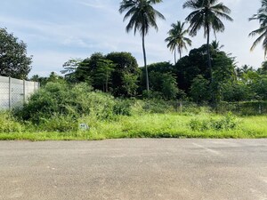  Land – Exterior View View at Mysore Road - for Sale