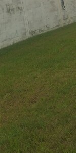 350 Sq.Yd. Plot in Gurdev Nagar