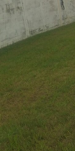 Plot For Sale in Gurdev Nagar