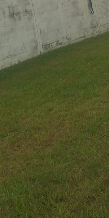 Plot For Sale in Gurdev Nagar