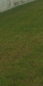 360 Sq.Yd. Plot in Model Gram