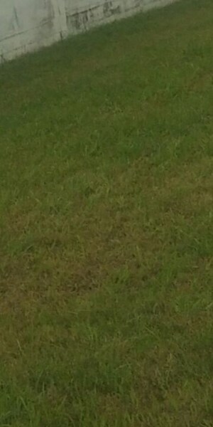  Plot For Sale in Model Gram