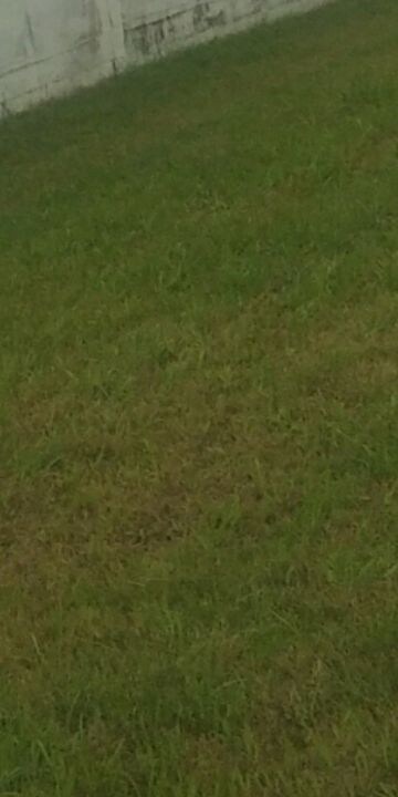  Plot For Sale in Model Gram