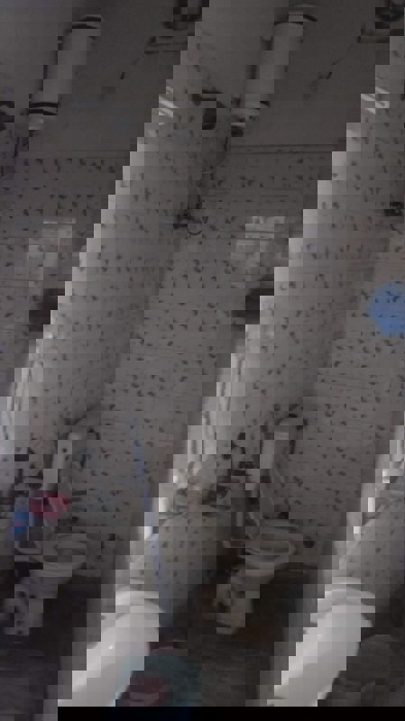 2 BHK + Pooja Room Apartment For Rent in RWA Apartments