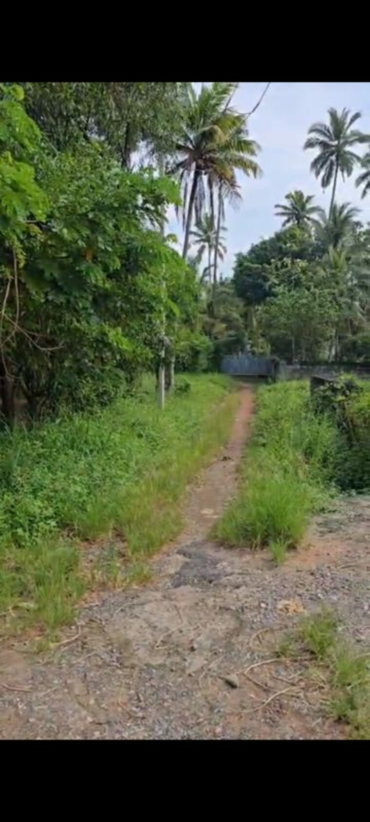 Garden, chacka  6032 Sq.Mt. Plot In Chacka Thiruvananthapuram 9818923
