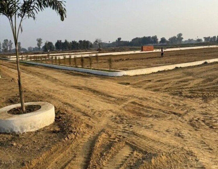 undefined, beldarichak  909 Sq.Ft. Plot In Beldarichak Patna 9818749