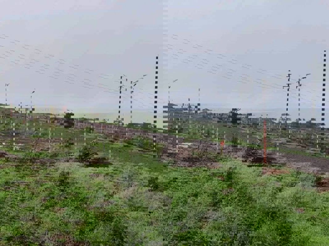 Plot For Sale in Chacka