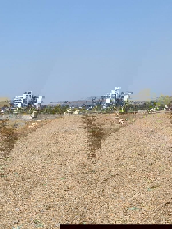 Plot For Sale in Kesnand