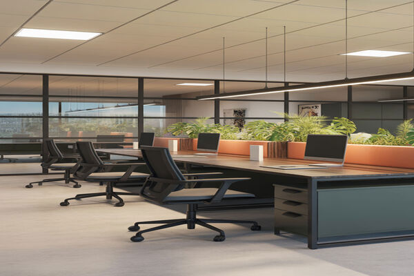 Office Space For Rent in Divine Kharidi