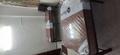 Pg For Rent in Ghansoli