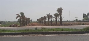 Plot Area in  Plot at Jewar – for Sale