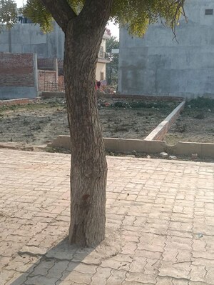 Plot Area in  Plot at Faizabad Road – for Sale