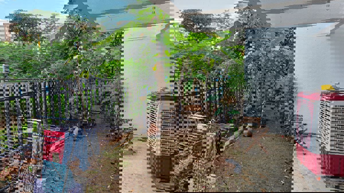 3 BHK 3400 Sq.Ft. Independent House in Balewadi Apartments