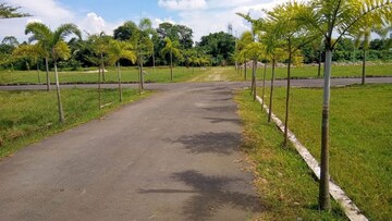 Plot Area in  Plot at Shyam Nagar – for Sale
