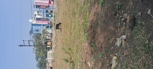 1 BHK Independent House – Exterior View View at Betma - for Sale