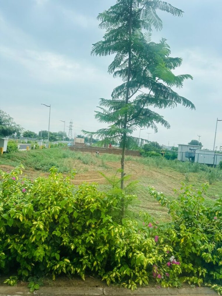 undefined, sector 5 2 Bedroom 1425 Sq.Ft. Apartment In Sector 5 Dharuhera 9820157