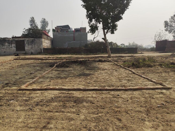 undefined, dadri  450 Sq.Ft. Plot In Dadri Greater Noida 9820165